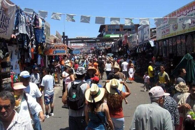 Private La Bufadora & Market Tour Custom Options Available - Introduction: What to Expect from the Private Ensenada Tour