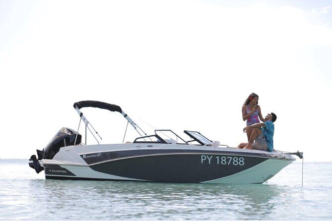 Private lagoon tour (rays, sharks, turtles) by boat in Moorea - What to Expect During the Tour