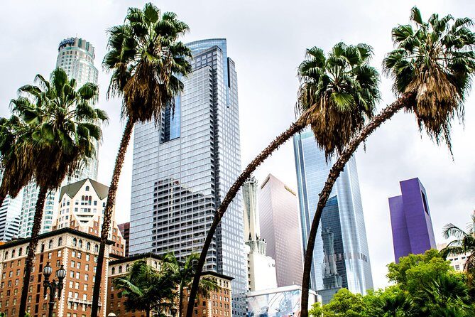 Private Layover Los Angeles Tour with Pickup from LAX - Santa Monica, Venice - A Closer Look at the Tour Experience