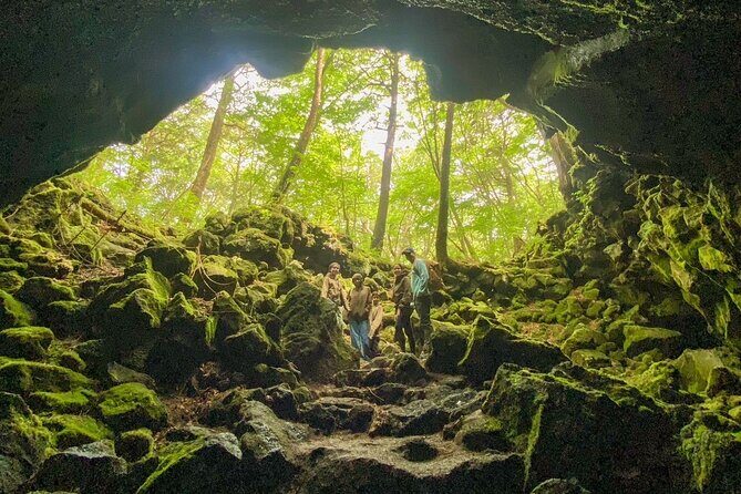 Private Local Hiking to enjoy the nature and culture of Mt.Fuji - A Genuine Look at the Tour Experience