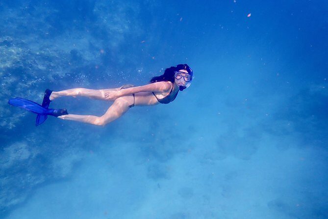 Private Looe Key Snorkel from Big Pine Key - Value and Pricing Analysis