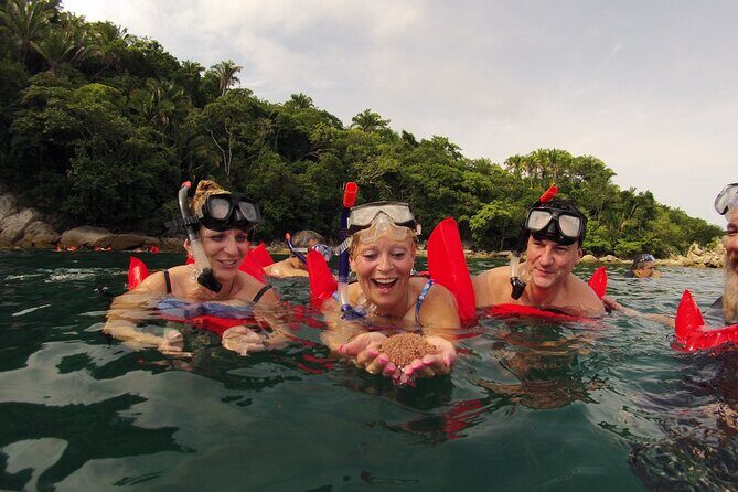 Private Los Arcos Snorkel and Beach Tour from Puerto Vallarta - Starting Point and Transportation