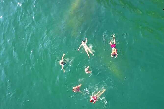Private Los Arcos Snorkel and Beach Tour from Puerto Vallarta - Lunch and Additional Activities