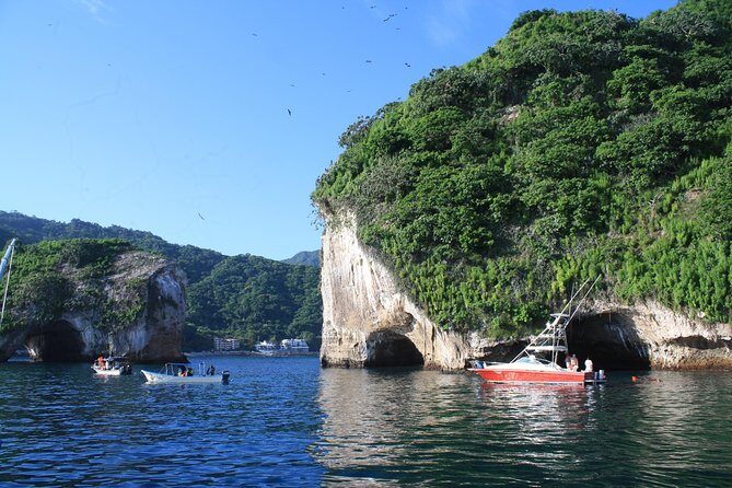 Private Los Arcos snorkeling - Key Points