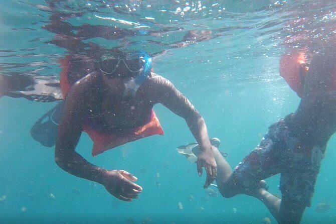 Private Los Arcos snorkeling - Authentic Encounters and Personal Touches