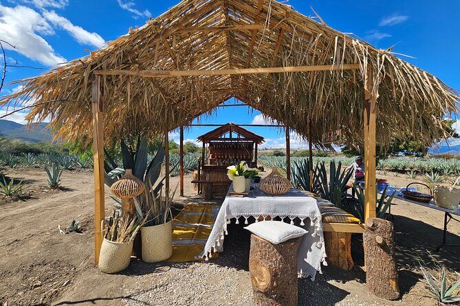 Private Lunch in Mezcal Maguey Fields - A Closer Look at the Private Lunch in Mezcal Maguey Fields Tour