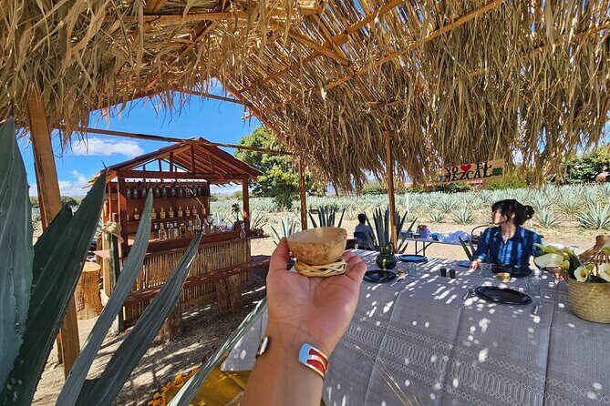 Private Lunch in Mezcal Maguey Fields - FAQ