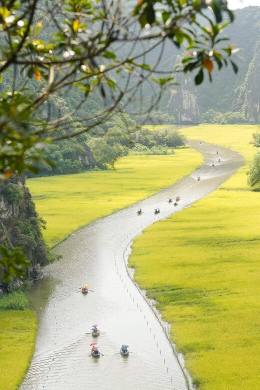 Private Luxury 1 Day Trip: Hoa Lu, Tam Coc, Mua Cave, Biking - An In-Depth Look at What You Can Expect