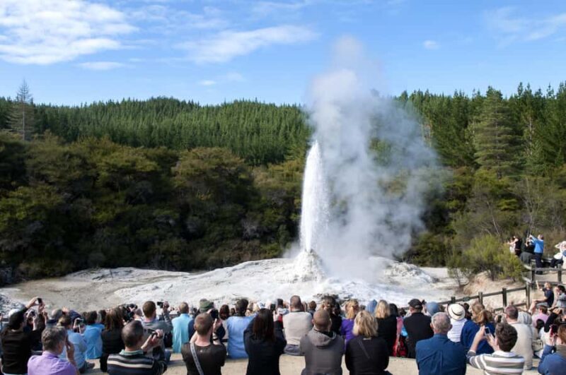Private Luxury Auckland - Rotorua Geothermal Wonderlands - Detailed Review
