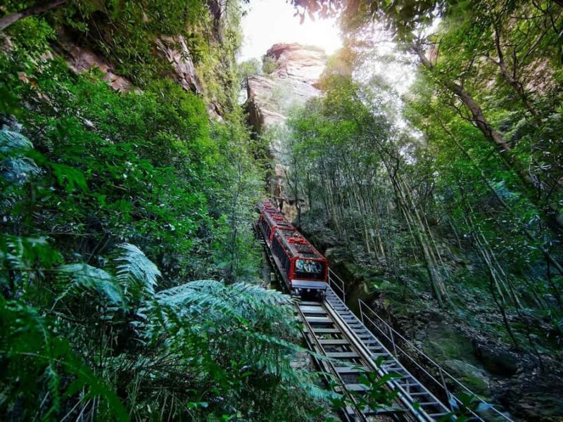 PRIVATE LUXURY BLUE MOUNTAINS ADVENTURE | FROM SYDNEY - An Introduction to the Blue Mountains Experience