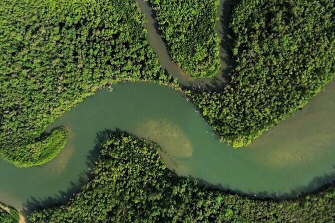 Private Luxury Cape Tribulation Adventure and Crocodile Cruise - Who Should Consider This Tour?