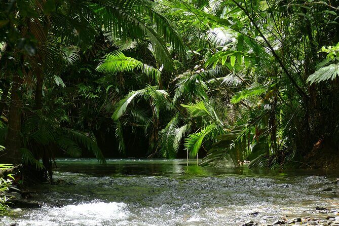 Private Luxury Cape Tribulation Adventure and Crocodile Cruise - Final Thoughts