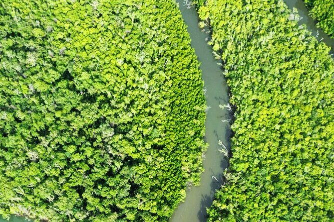 Private Luxury Cape Tribulation Adventure and Crocodile Cruise - FAQs