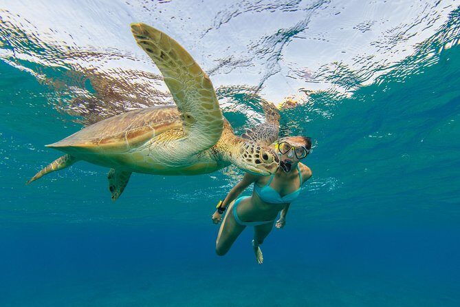 Private Luxury Charter Aboard New Multi-Deck Lagoon Catamaran - Snorkeling Highlights