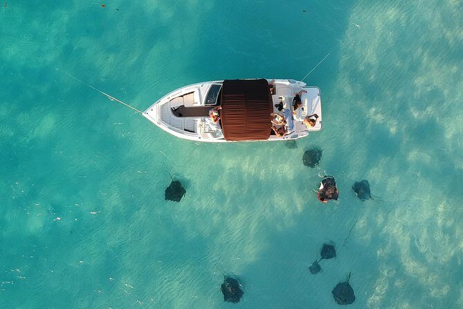 Private, luxury, custom charters to Stingray City, Snorkeling & More - Key Points