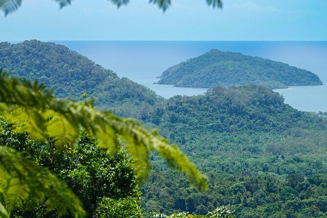 Private Luxury Daintree Dream Tour All Inclusive - Why We Think This Tour Offers Great Value