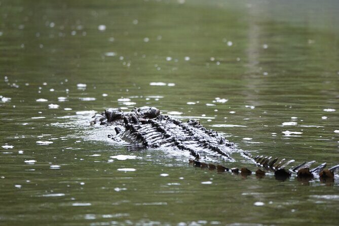 Private Luxury Daintree Dream Tour All Inclusive - FAQs
