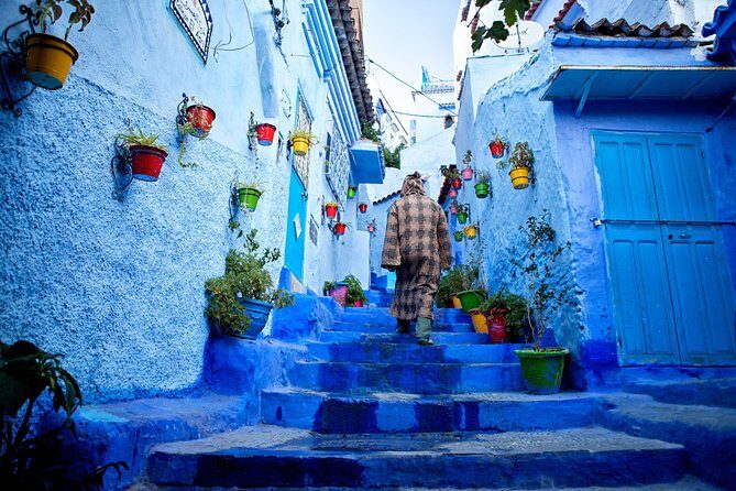 Private Luxury Day Trip From Fes to Chefchaouen - What’s Included and What’s Not
