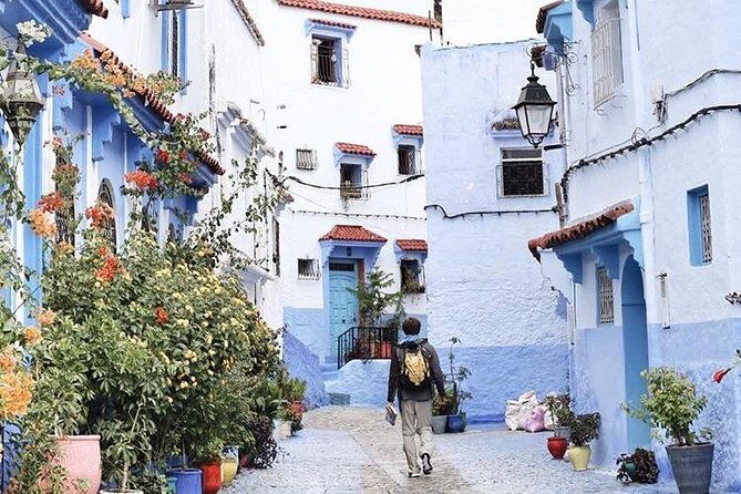 Private Luxury Day Trip from Fes to Chefchaouen - A Detailed Look at the Private Luxury Day Trip from Fez to Chefchaouen