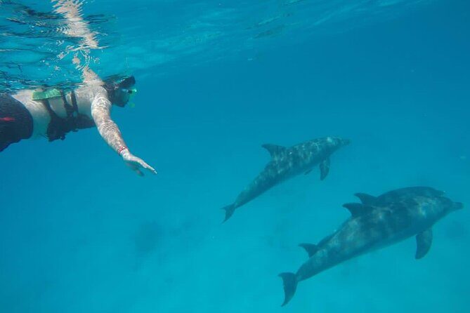 Private Luxury Dolphin House Boat Tour With Lunch - Hurghada - Key Points
