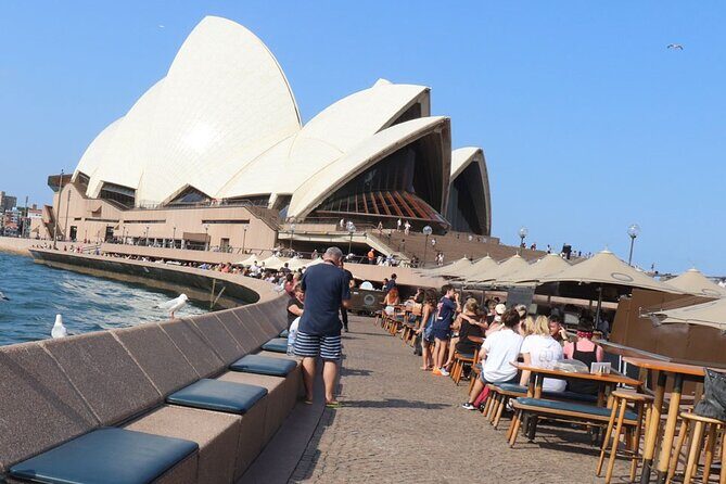 Private Luxury Half Day Sydney City Tour - The Sum Up