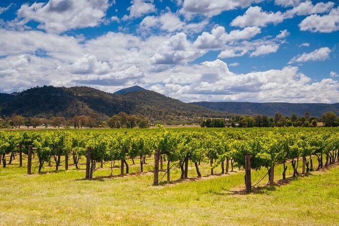 Private Luxury Hunter Valley Tour - up to 6 guests - FAQ