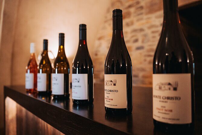Private Luxury Return Transfers - Queenstown to Wanaka Vineyards - Who Might Find It Less Suitable?
