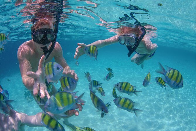 Private Luxury Sailing Cruise in Los Cabos with Lunch and Open Bar - Setting the Scene: What to Expect on Your Yacht Day
