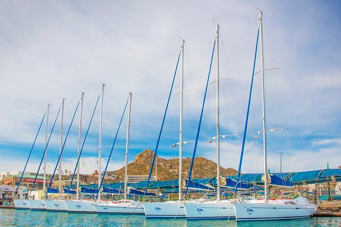 Private Luxury Sailing Cruise in Los Cabos with Lunch and Open Bar - Sails and Scenic Return