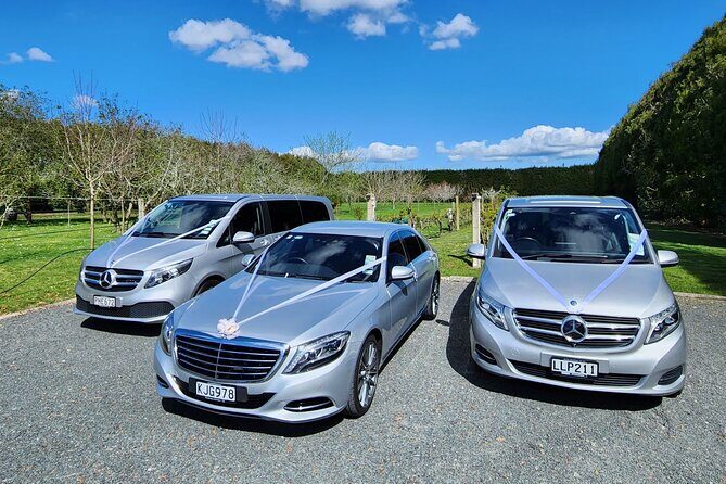 Private Luxury Sedan Transfer Auckland Airport To Auckland Hotel - Final Thoughts: Who Is This For?