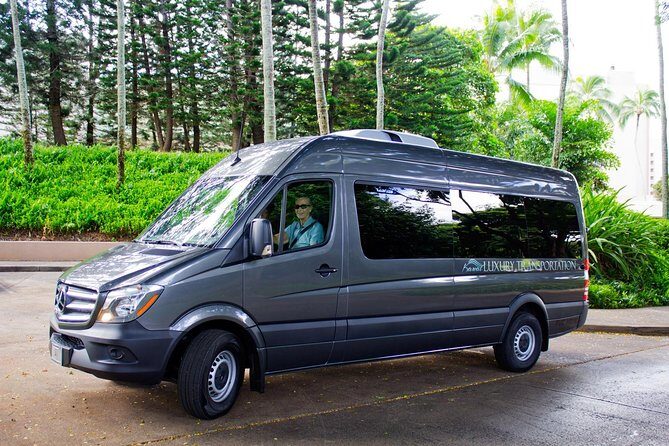Private Luxury Tour of Kauai: South & West Shores - Who Will Love This Tour?