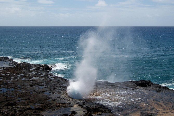 Private Luxury Tour of Kauai: South & West Shores - FAQs
