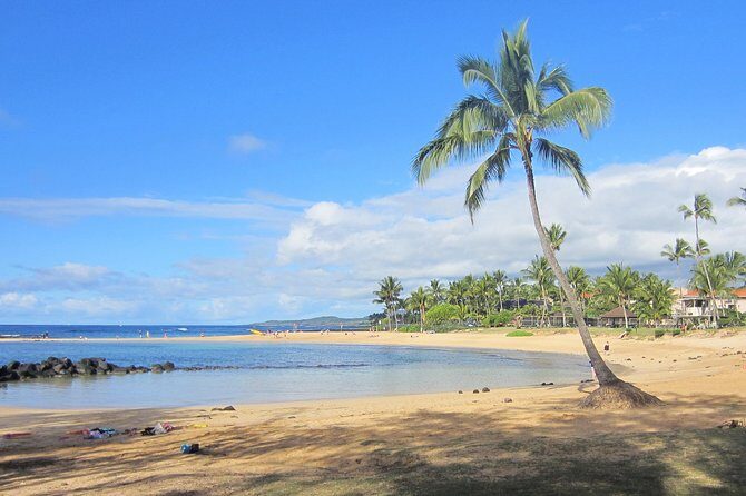 Private Luxury Tour of Kauai: South & West Shores - Final Thoughts