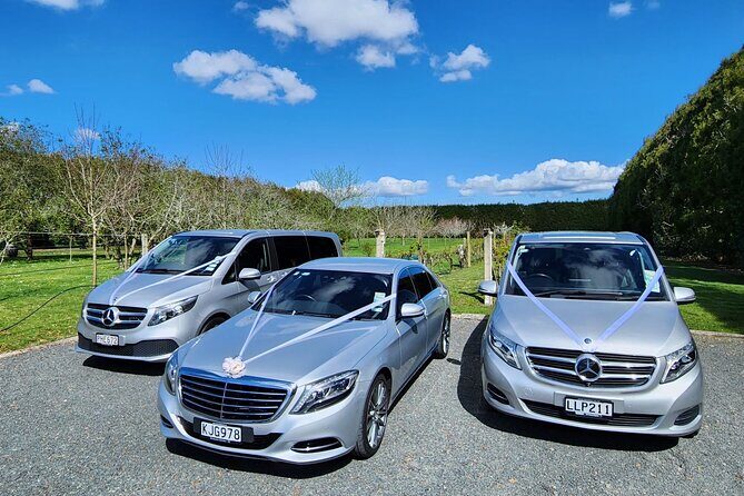 Private Luxury Transfers from Auckland Airport TO Auckland Hotels - What to Expect During Your Transfer