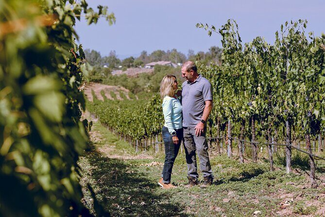 Private Luxury Transportation Experience - Sonoma - Exploring Sonoma in Style: What to Expect from the Tour