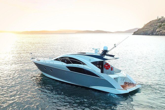 Private Luxury Whale Watch - Key Points