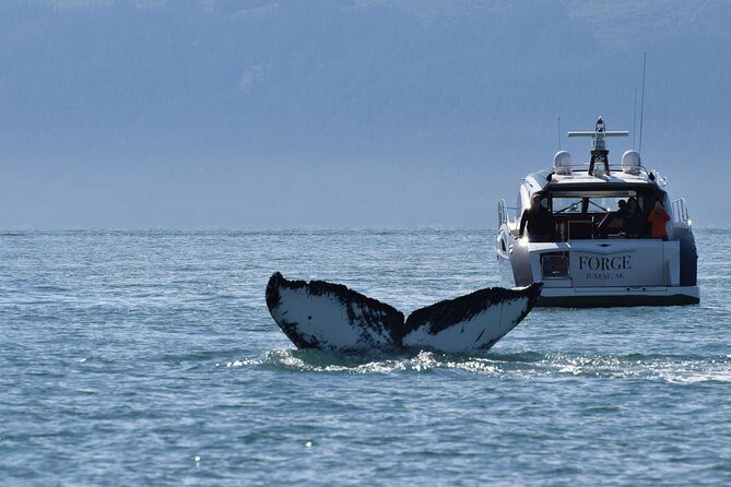 Private Luxury Whale Watch - Starting Off: Seamless Pickup and Transport