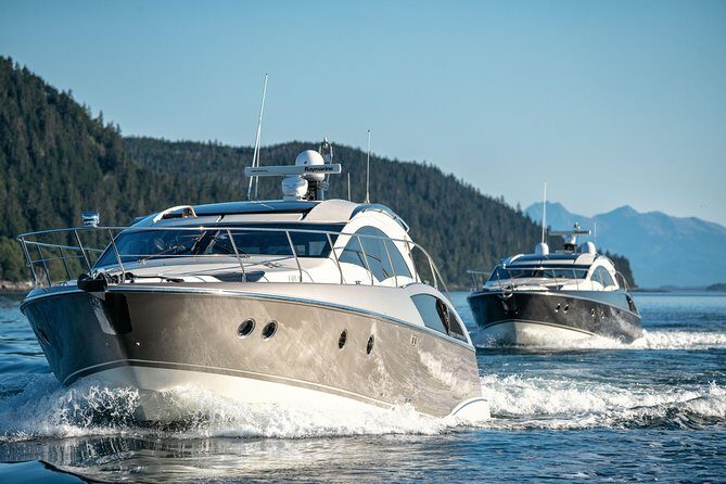 Private Luxury Whale Watch - Timing and Duration