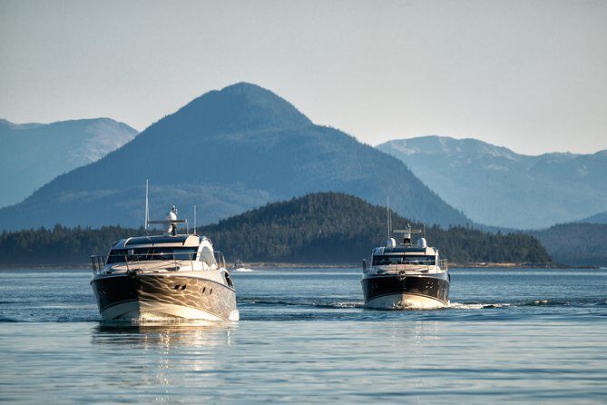 Private Luxury Whale Watch - Booking and Cost: Is It Worth It?