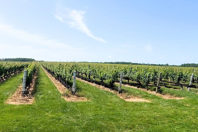 Private Luxury Wine Tours of Long Island Pindar Winery - An In-Depth Look at the Long Island Wine Tour Experience