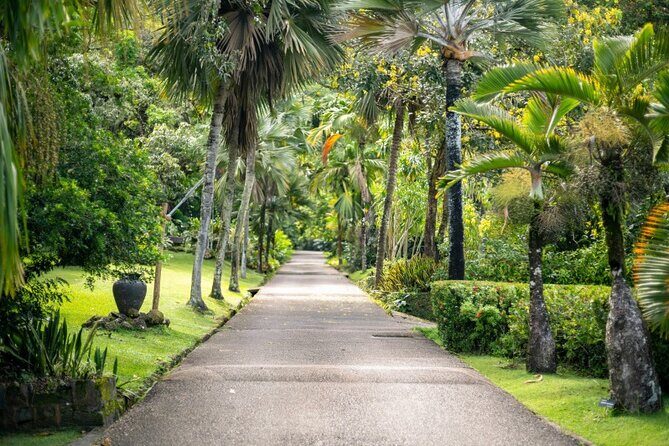 Private Mahe Island Full day Tour with Pickup - Practical Details and Value