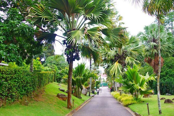 Private Mahe Island Full day Tour with Pickup - FAQ
