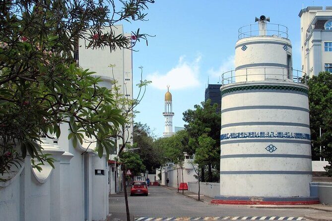 Private Male City Walking Tour with optional Vilimale tour - Key Points