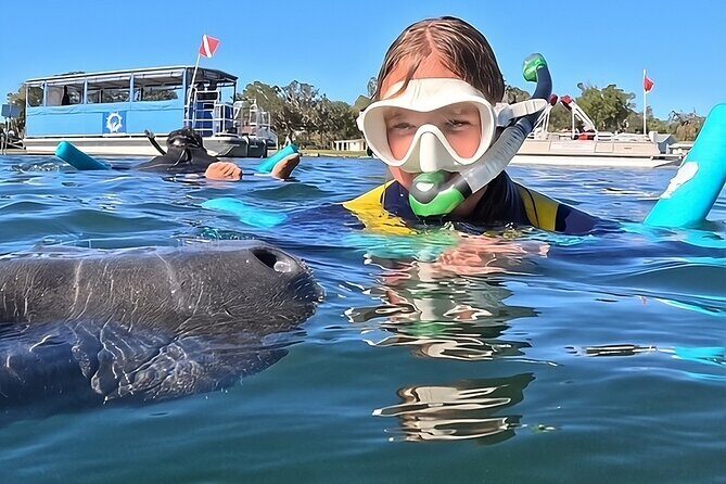 Private Manatee Swim Crystal River FL 6 Passenger Max Free Photos - Key Points