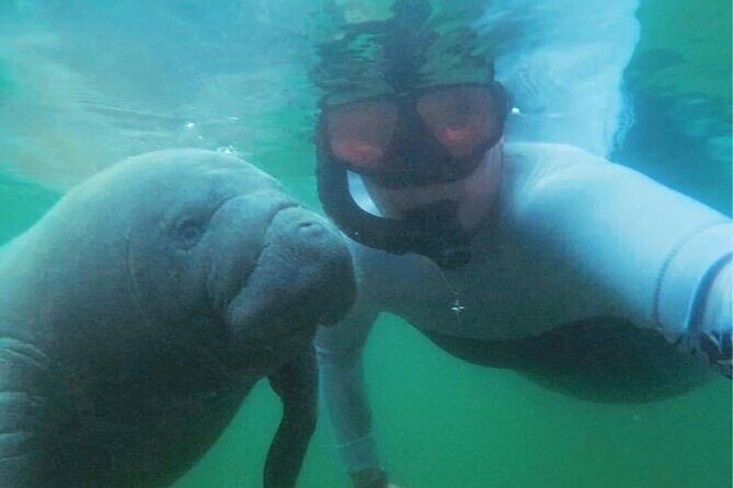 Private Manatee Swim Crystal River FL 6 Passenger Max Free Photos - Why This Tour Is Special