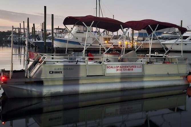 Private Manatee Swim Crystal River FL 6 Passenger Max Free Photos - The Cost and Value