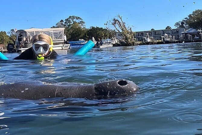 Private Manatee Swim Crystal River FL 6 Passenger Max Free Photos - FAQ