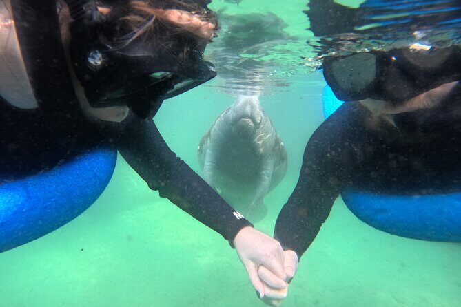 Private Manatee Swim Tour - Who Should Consider This Tour
