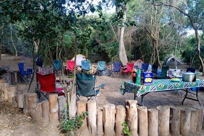 Private Maputo National Park Safari Day Tour with Pickup - The Guides: Why They Make a Difference