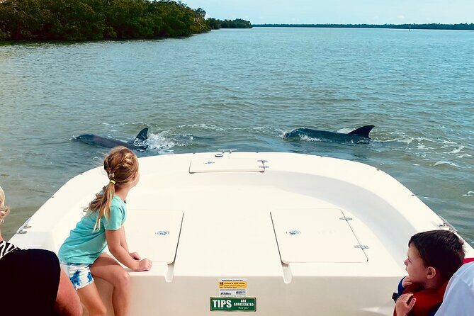 Private Marco Island / 10,000 Islands Sightseeing & Dolphin Tour - The Experience of a Lifetime, According to Reviews